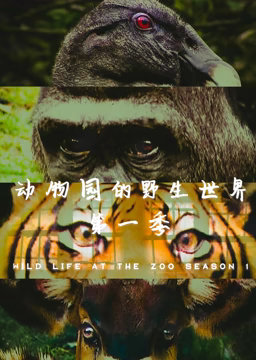 动物园的野生世界 第一季(全集)