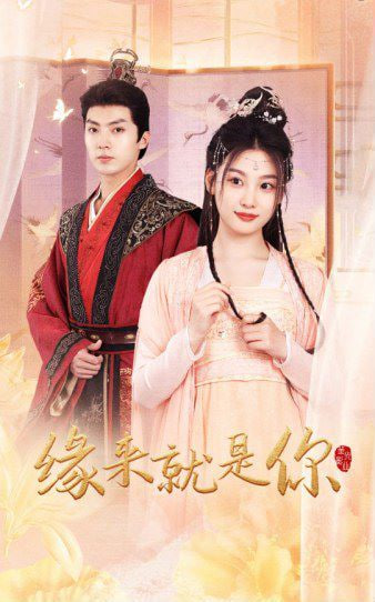 新版：缘来就是你(全集)