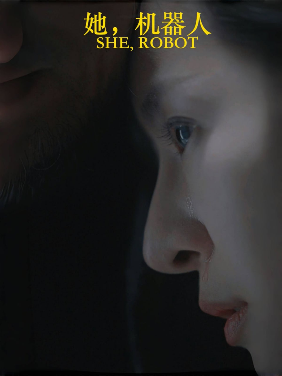 她，机器人(全集)