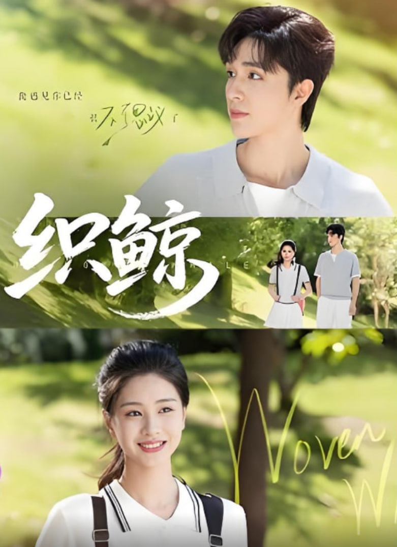 织鲸(全集)