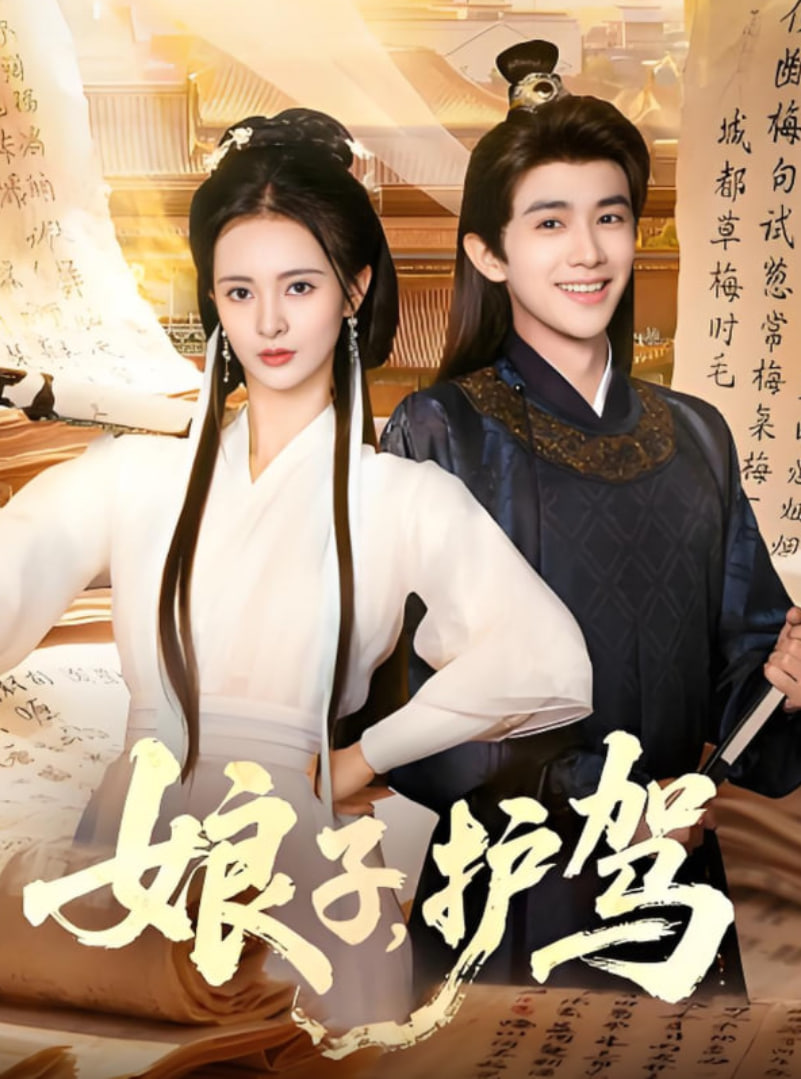 娘子护驾(全集)