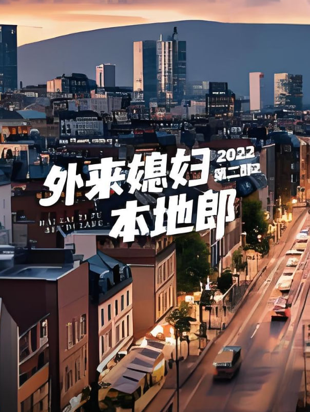 外来媳妇本地郎 第二部(全集)