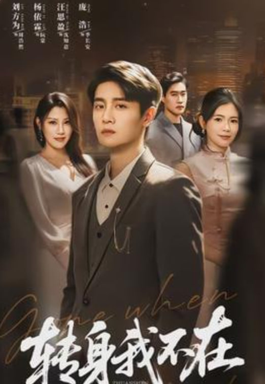 转身我不在(全集)