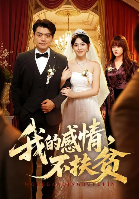我的感情，不扶贫(全集)